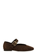 Brown-102720840