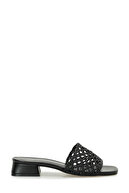 BLACK-102688769