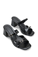 Black Rustic