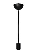 D11 Black Tulip Black