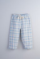 Blue Plaid