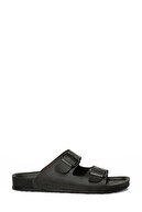 Brown-102249944