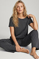 anthracite loepar