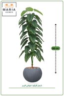 slicing attribute product