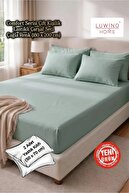 Almond Green