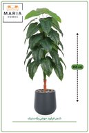 slicing attribute product