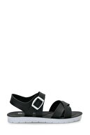 BLACK-102249486