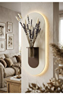 PARISIAN GREY - WOOD WALNUT