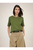 Peat Moss