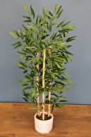 Yapay Çiçek Deposu Beton Saksıda Bambu Ağacı 110 Cm 3 Gövdeli