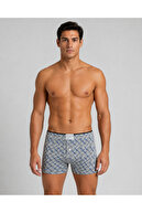 Gray Striped