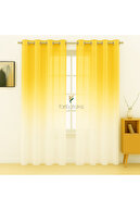 US-DEG-YELLOW