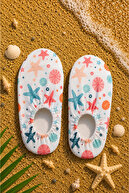 Cowry Shell