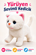 White Cat