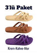 Cream-Brown-Purple