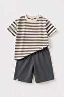 ANTHRACITE MINK STRIPES