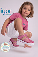FUCHSIA-100293853