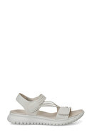 Beige-102239074