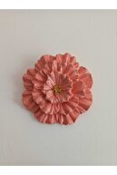 Light Coral