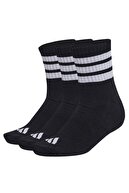 BlackStriped