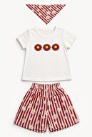 Burgundy Striped