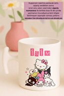 sanrio friends named
