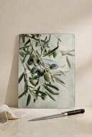 Olive Branch
