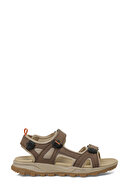 BROWN-102238812