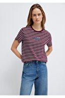 Burgundy-87982