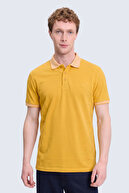 Yellow-02