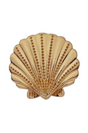 seashell