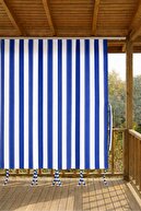 Blue/White