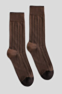 Camel Feather