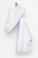 White (WHITE)