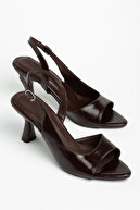 Brown Glossy