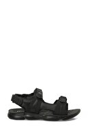 BLACK-102688772