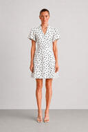 POLKA DOT