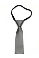 Sliver Gray