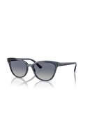 Transparent Blue-Navy