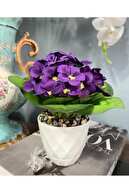purple