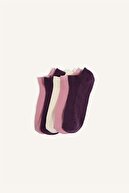 PEMBE-PN5