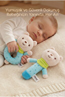 Turquoise-Teddy Bear