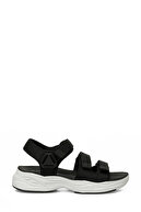 BLACK-102239083