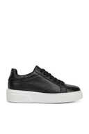 Black_A41