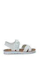 White-102249485
