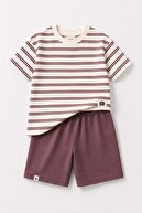 DAMSON LILAC STRIPED