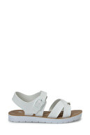 White-102252334
