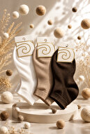 Brown - Cream - Ecru