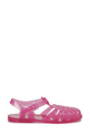 Fuchsia-102249661