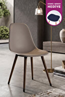 Grey/Chestnut